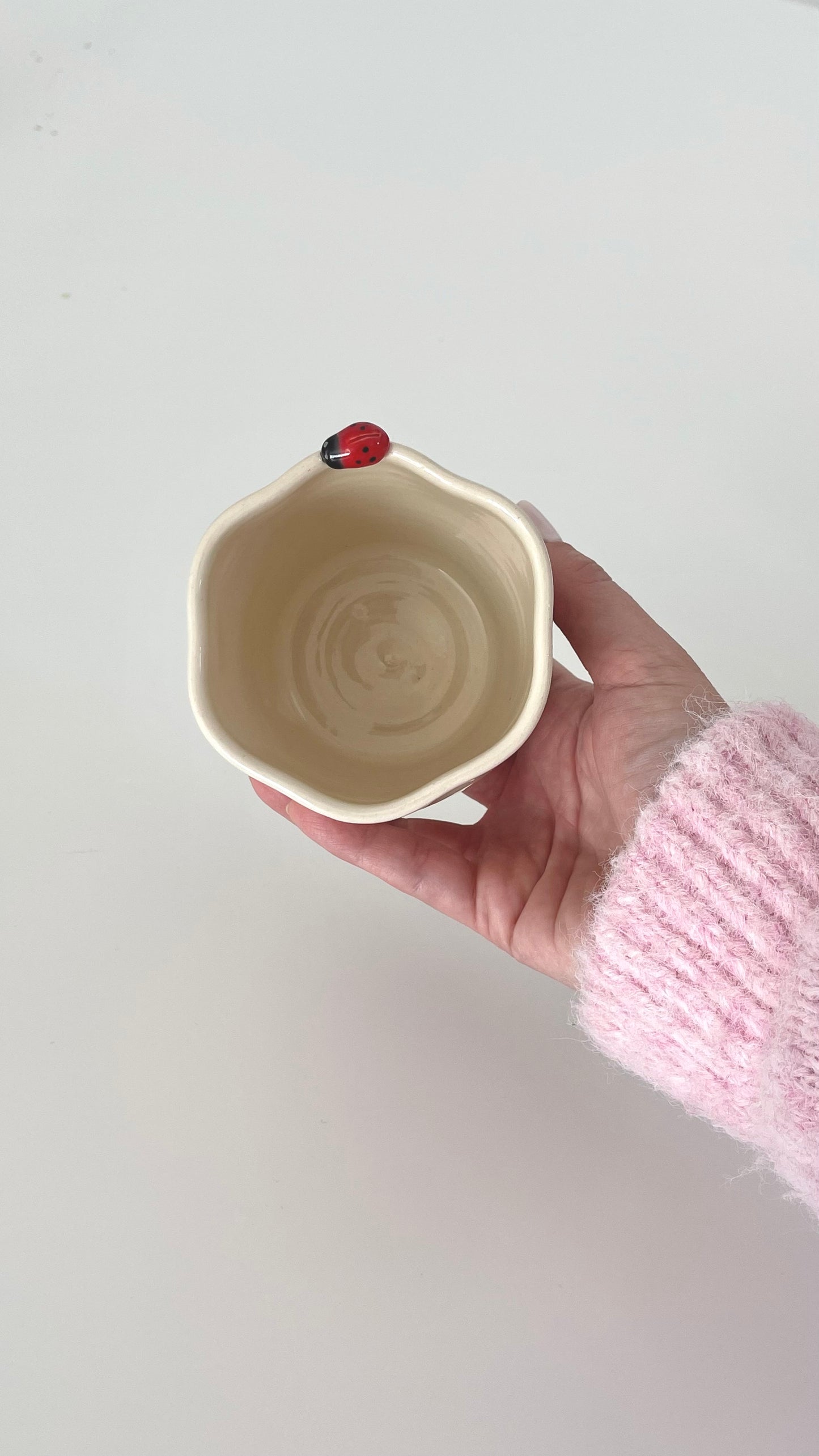 Flower cup ladybug 🐞